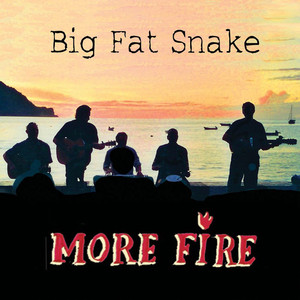 More Fire album