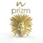 Prizm Albumcover