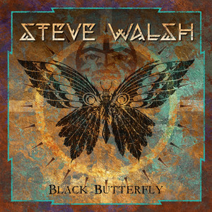 Black Butterfly album
