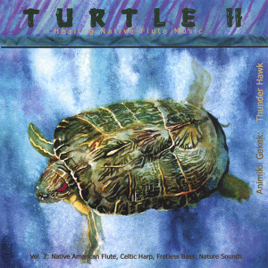 Turtle II Healing Native Flute Music Albumcover