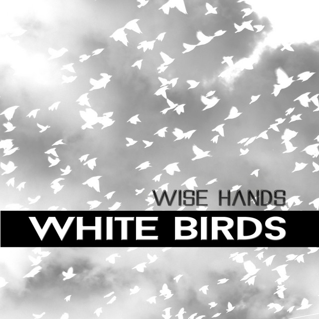 Wise Hand Photo