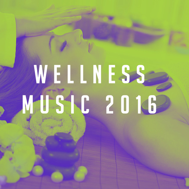 Wellness Music 2016 Albumcover
