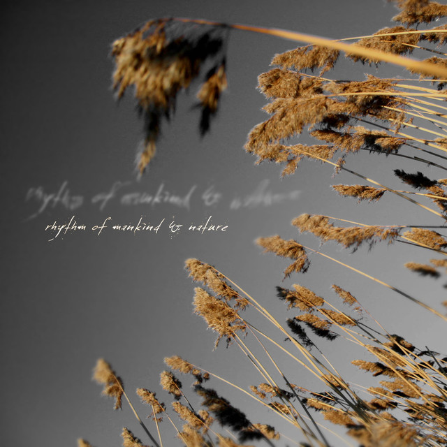 Rhythm of Mankind & Nature photo