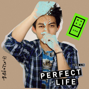 美妙生活 cover