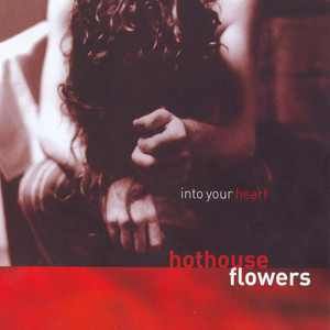 Into Your Heart cover