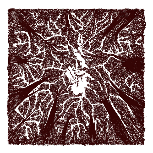 Shade cover