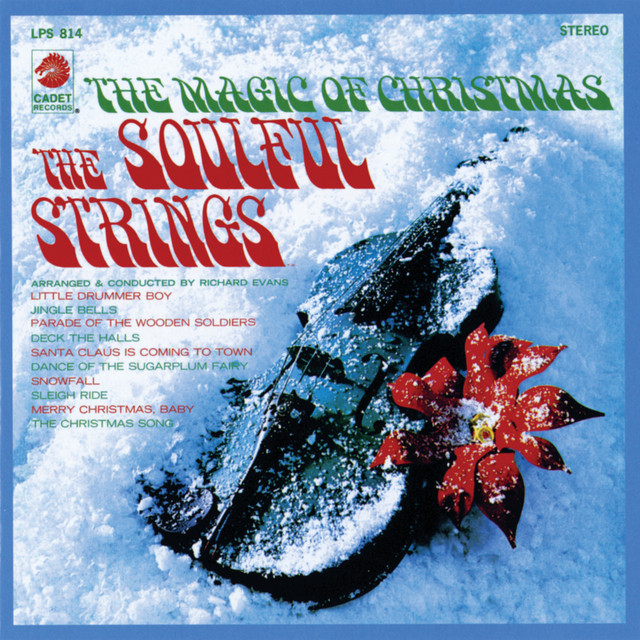 The Soulful Strings photo