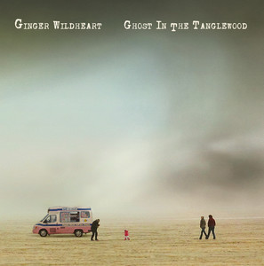 Ghost in the Tanglewood cover