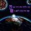 Dynamic Visionz Albumcover