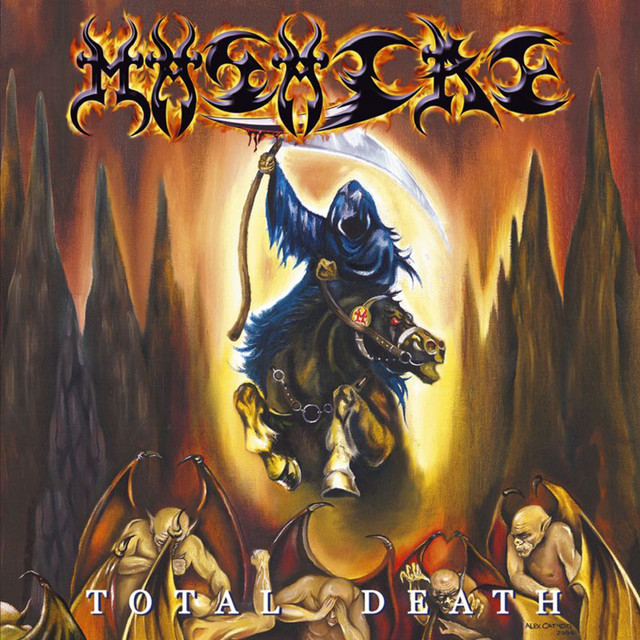 Total Death cover