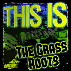 This Is the Grass Roots album