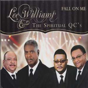 Fall on Me cover