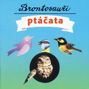 Ptáčata cover