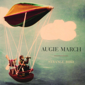 Strange Bird cover