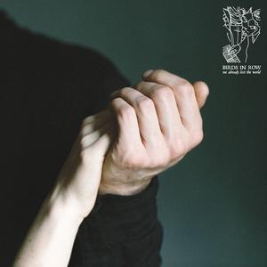 We Already Lost the World cover