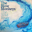 The Wild River cover