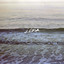 Ixora cover