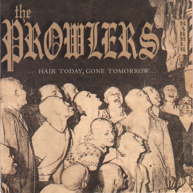 Hair Today Gone Tomorrow cover