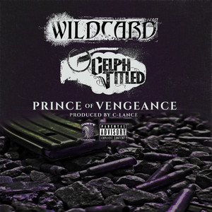 WildCard photo