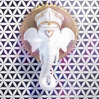 Elephunk Photo