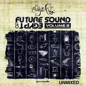 Future Sound Of Egypt, Vol. 2 album