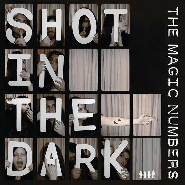 Shot In The Dark cover