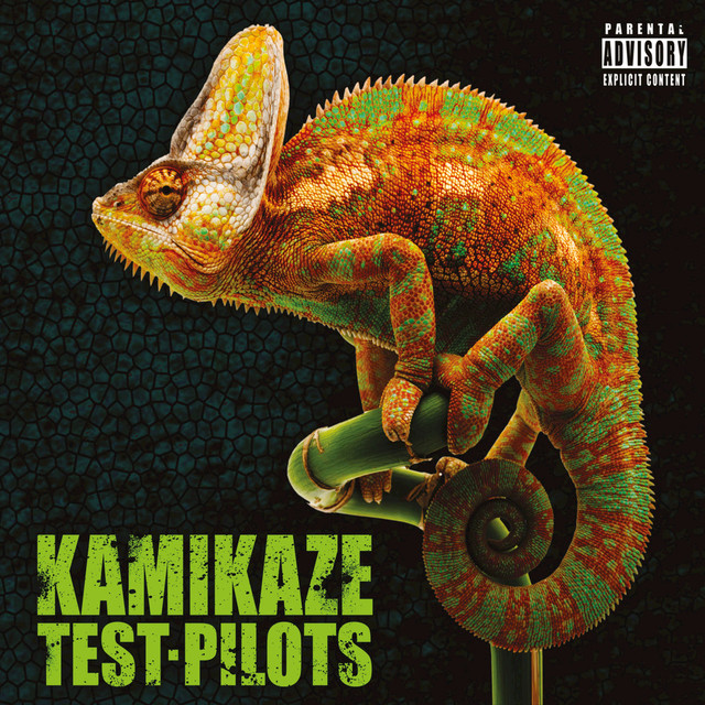 Kamikaze Pilots Photo