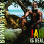 Jah Is Real cover