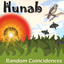 Random Coincidences Albumcover