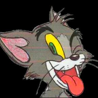 Tomkillsjerry Photo