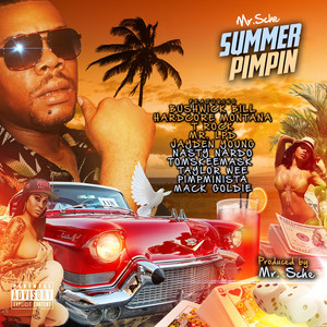 Summer Pimpin cover