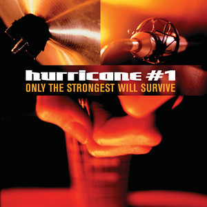 Only the Strongest Will Survive cover