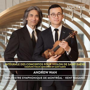 Violin Concertos cover
