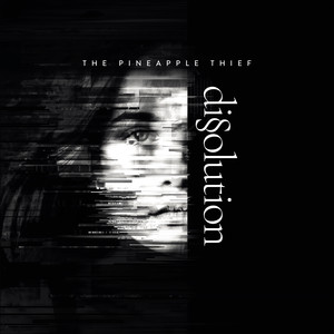 Dissolution cover