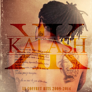 Le coffret hits 2009-2014 album