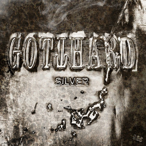 Silver cover