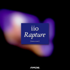 Rapture (Treasure Chest Package) [feat. Nadia Ali] album