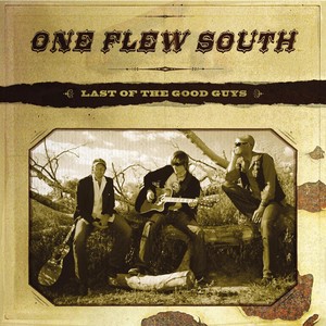 One Flew South
