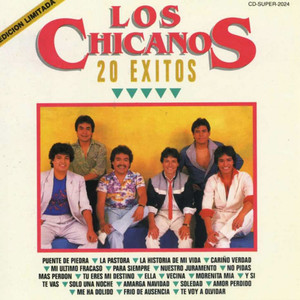 20 Éxitos Albumcover