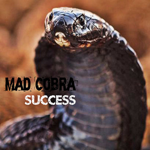 Success album