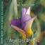 Ara kai pou (Music and songs of Crete) Albumcover