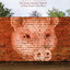 More Bricks: The String Quartet Tribute to Pink Floyd's The Wall cover