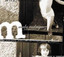 La Niña (USA) cover