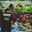 Bigger Fish Albumcover