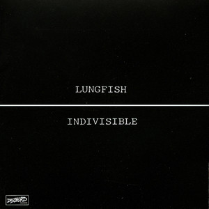Indivisible cover