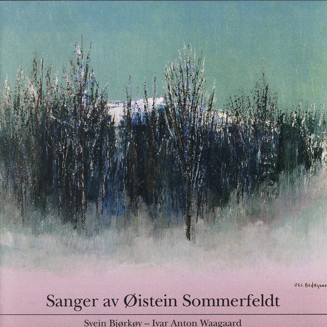 Øistein Sommerfeldt Photo