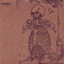 Softskulls cover