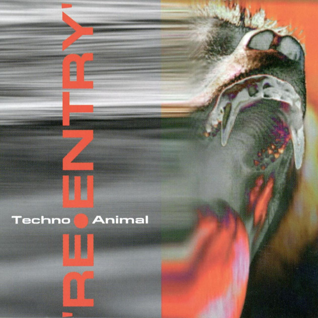 Re-entry cover