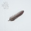 Fly Albumcover