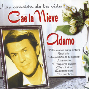 Cae la Nieve : La Cancion de Tu Vida album